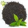Yuqori sifatli past narxdagi porox choyi 3505AAA Shimoliy Afrikaga
